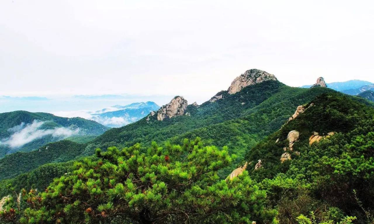 沂蒙山舍，呼吸大自然“臥聽(tīng)松嘯 伴山而眠”