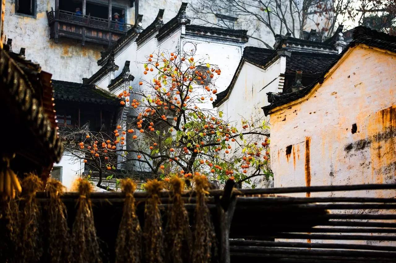 墅家墨娑西沖院，活了的老宅訴說舊日的時光