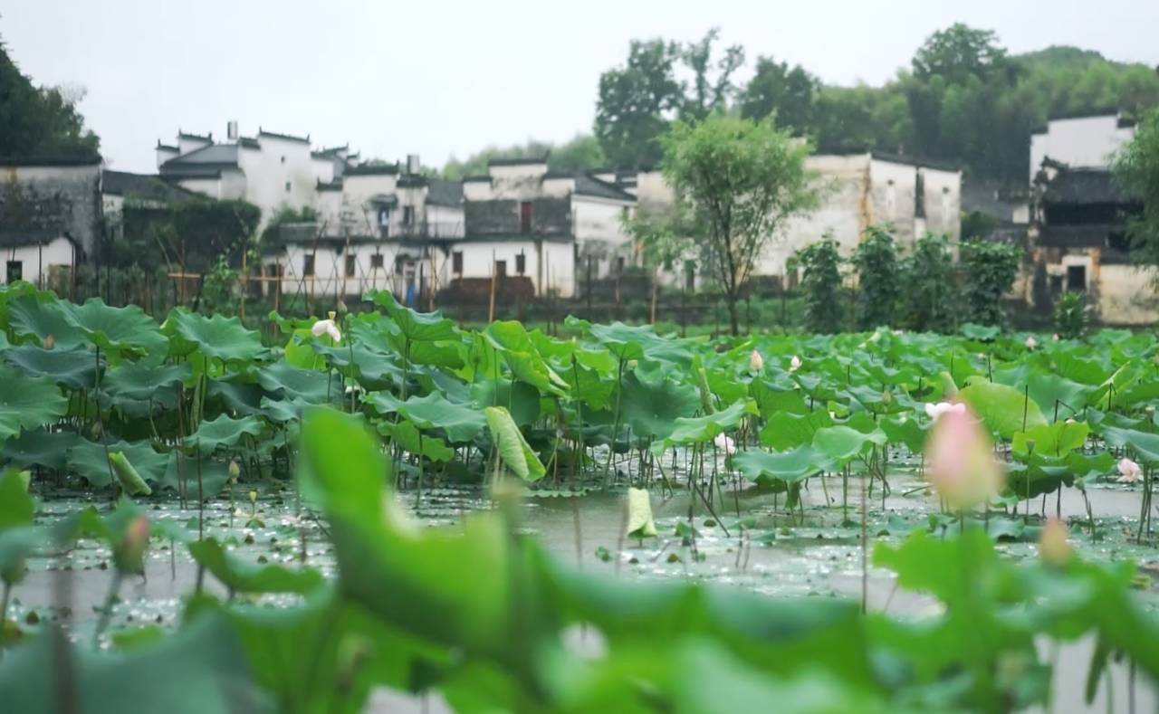 墅家墨娑西沖院，活了的老宅訴說舊日的時光