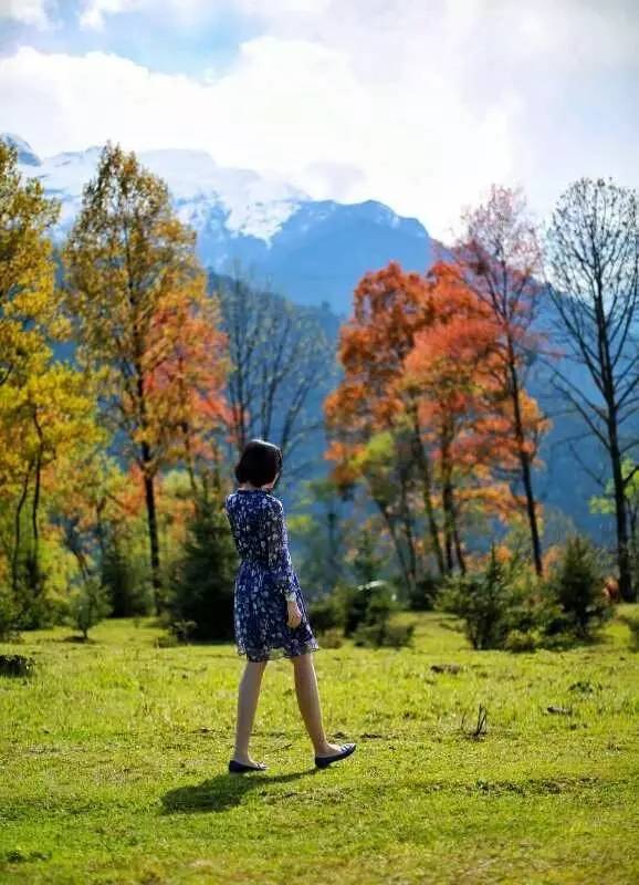 若丁山七號營地，無數人向往的“星空露營地”