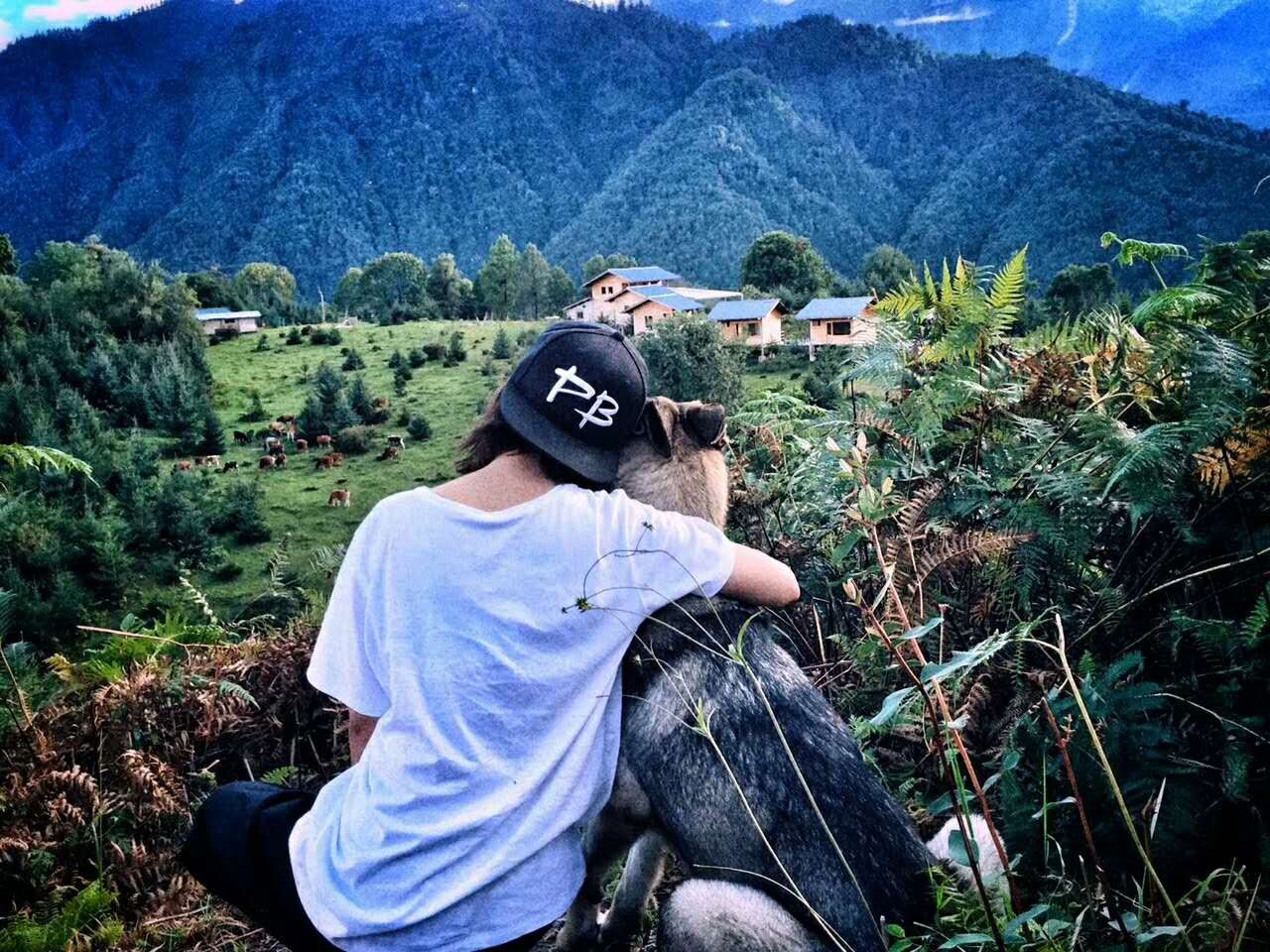 若丁山七號營地，無數人向往的“星空露營地”