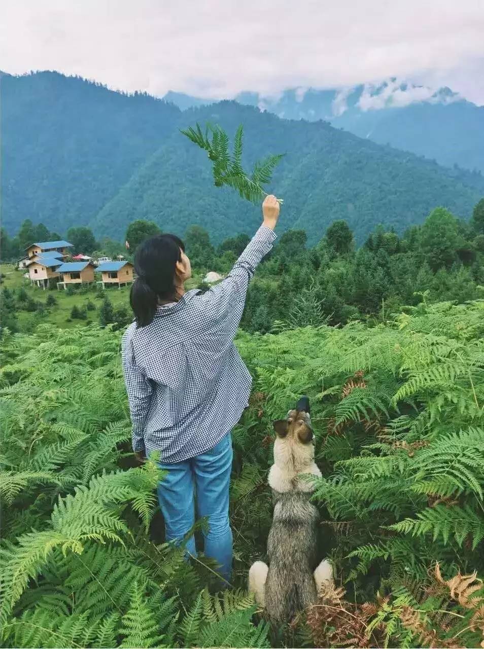 若丁山七號營地，無數(shù)人向往的“星空露營地”