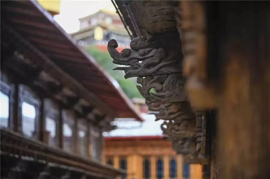 天空之城南杉藝術(shù)酒店，在月光之城尋找探索