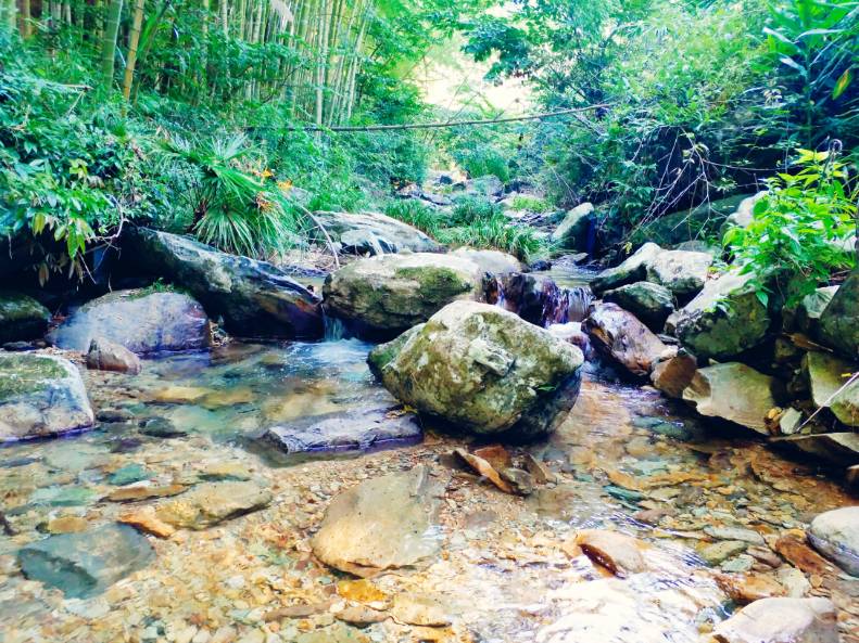 黃山云上民宿，看云卷云舒留住淳樸田園生活