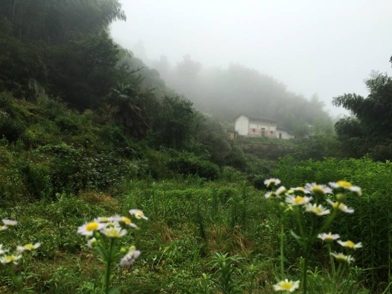 黃山云上民宿，看云卷云舒留住淳樸田園生活