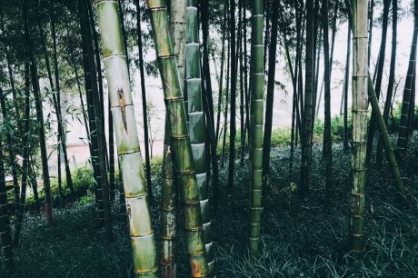 宛若故里，來(lái)麗江古城住最美民宿