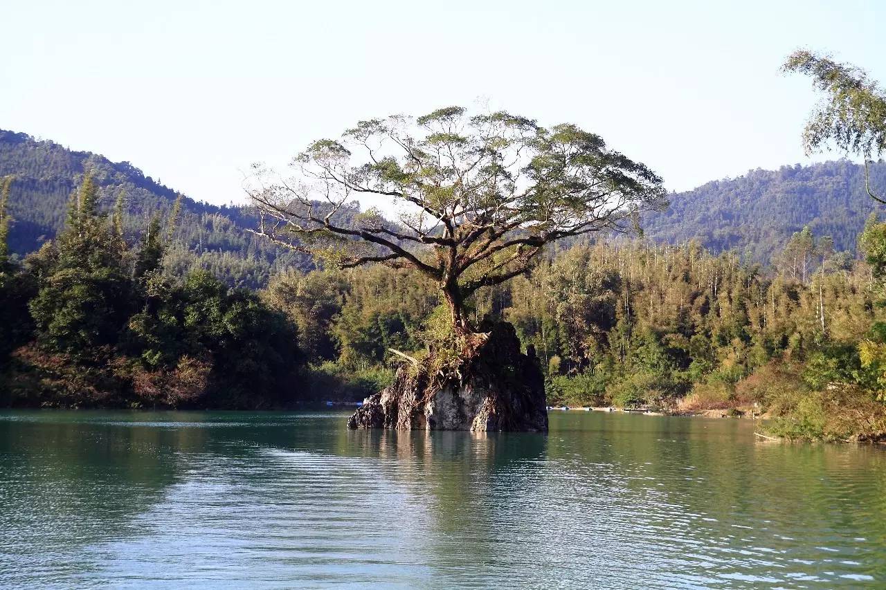 天堂山鄉(xiāng)愛樹民宿，古色古香的童話小鎮(zhèn)