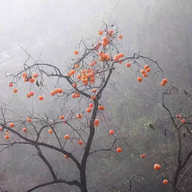 北京姥姥家民宿，聽故事感受自在的心靈時(shí)光