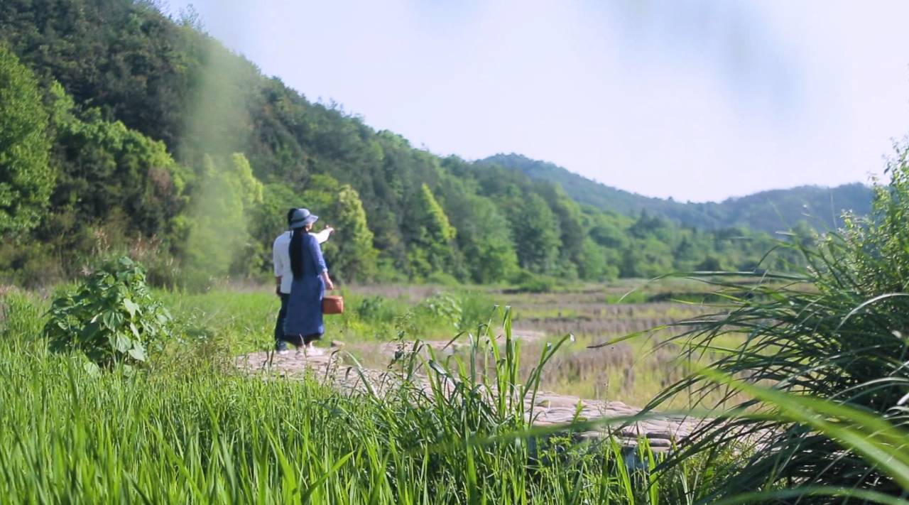 新安江畔谷掌民宿，莊園里享受青山環(huán)繞的美景