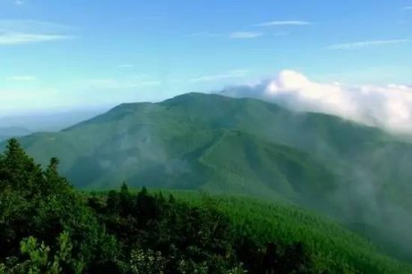 客堂間莫干山民宿，隱居深山聆聽自然