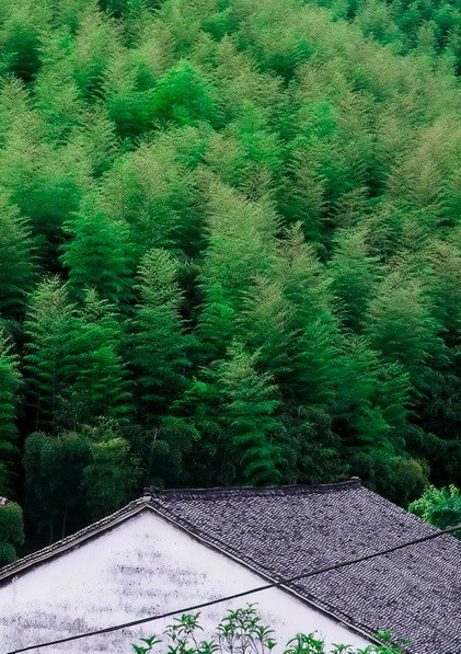 客堂間莫干山民宿，隱居深山聆聽(tīng)自然