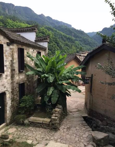 不舍·野馬嶺中國(guó)村民宿，樂在其中不忘初心