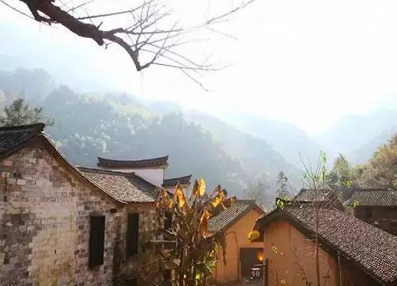 不舍·野馬嶺中國(guó)村民宿，樂在其中不忘初心