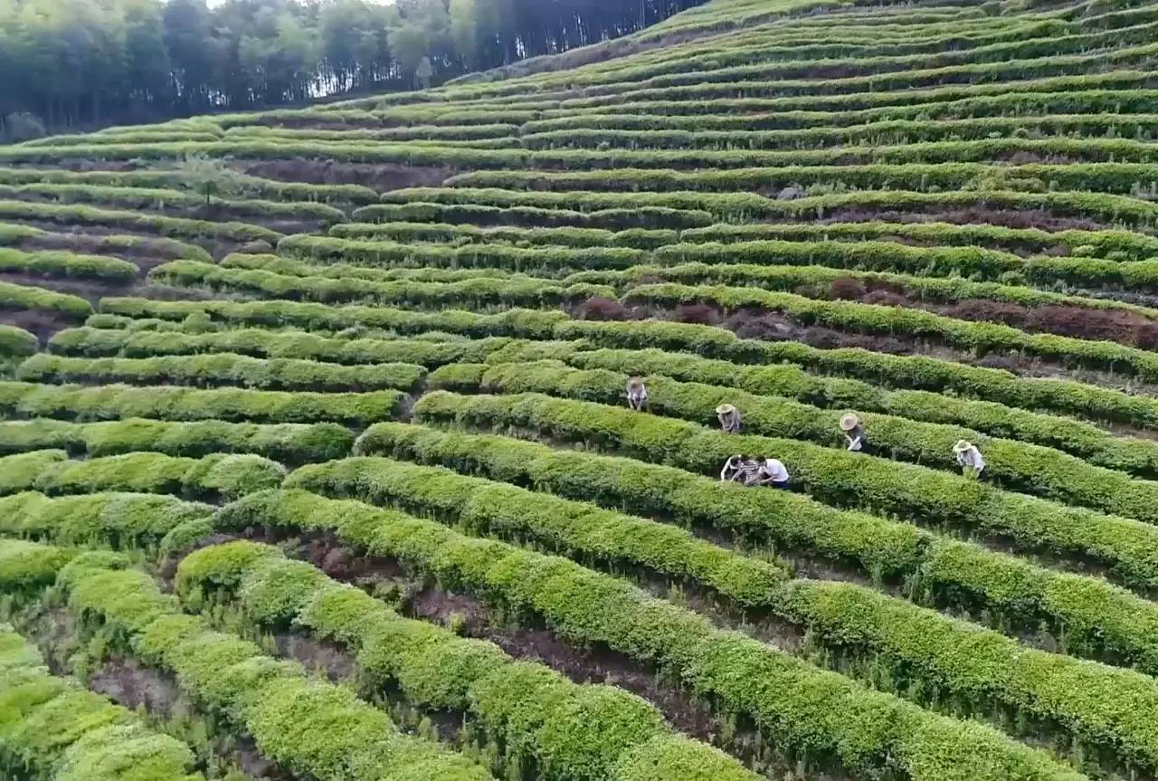 上虞陳溪鄉(xiāng)雪花谷民宿，在山谷里與自然相伴