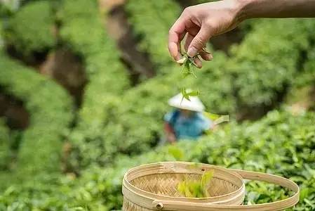 上虞陳溪鄉(xiāng)雪花谷民宿，在山谷里與自然相伴