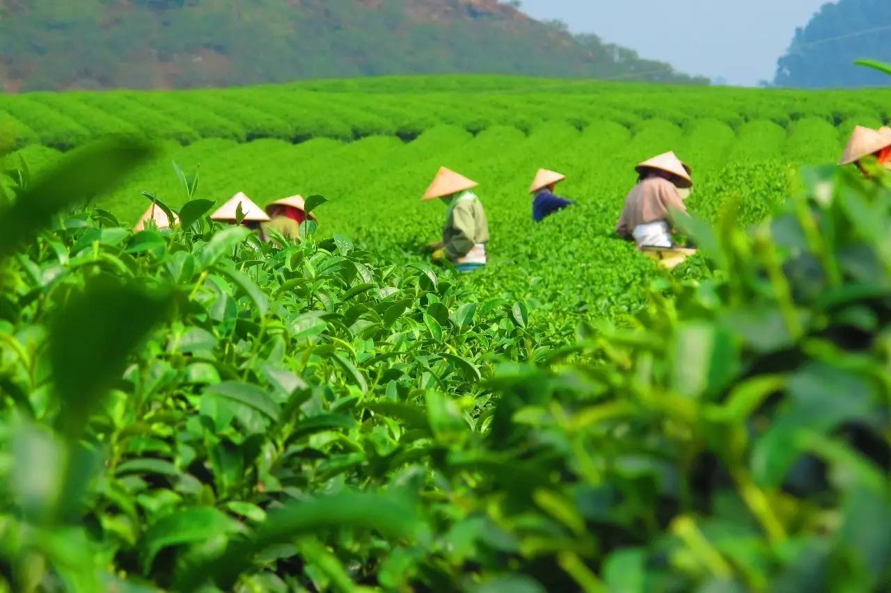 熹園茶宿，禪茶一宿悠然山水間