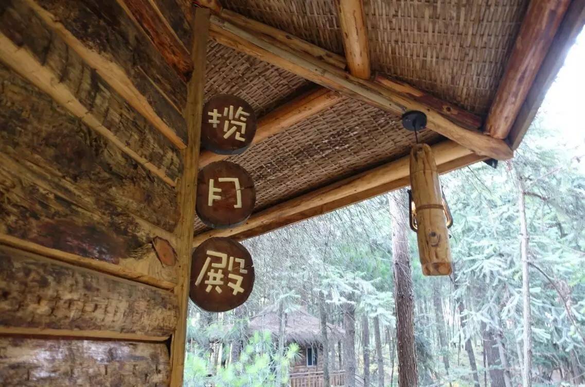 大來山樹屋民宿，喚醒古老村莊留住青山綠水