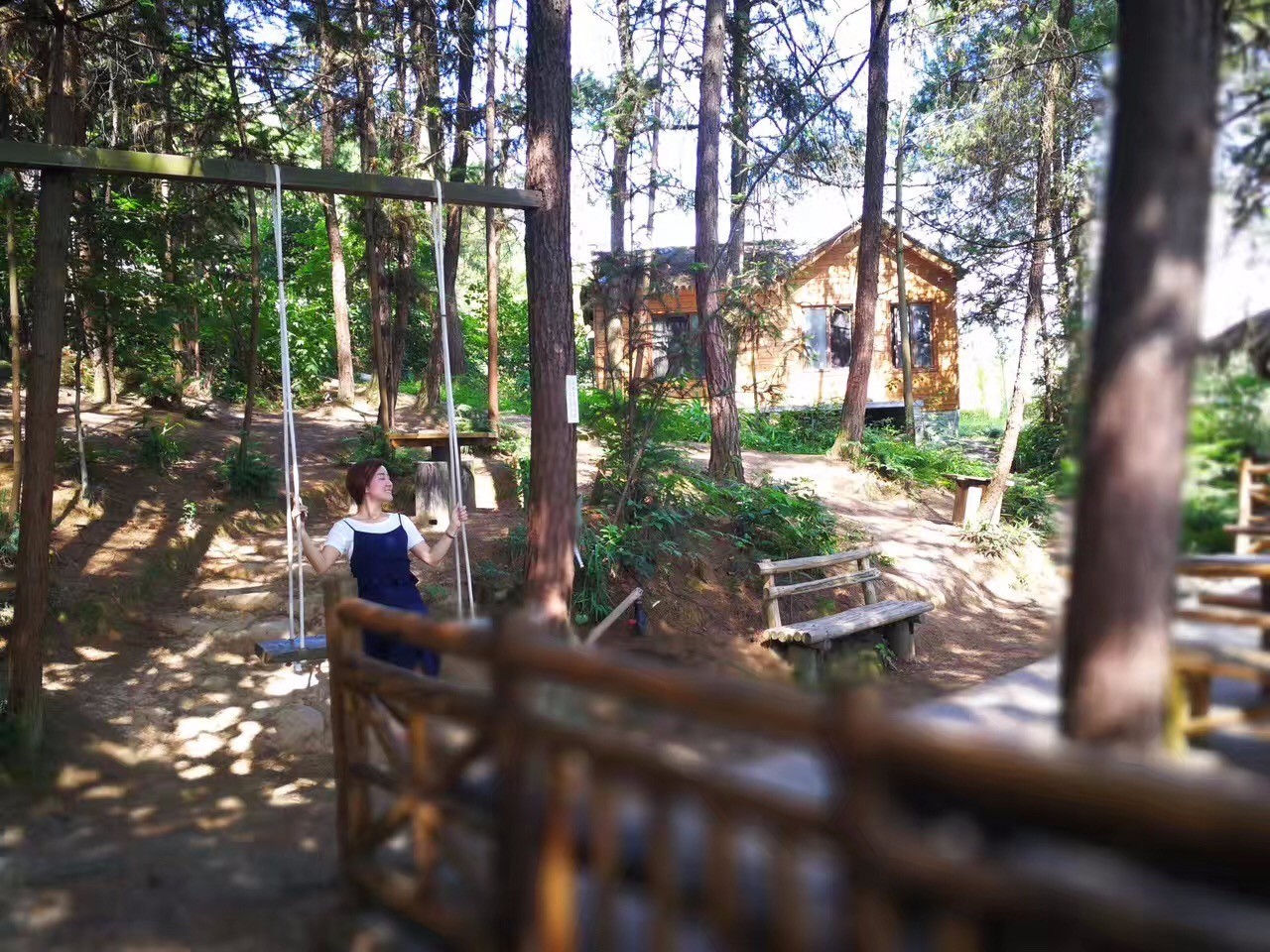 大來山樹屋民宿，喚醒古老村莊留住青山綠水