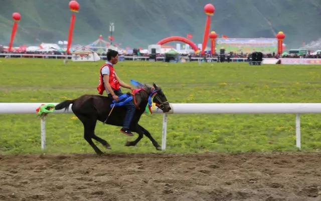 香格里拉非梵之宿，帶著你走茶馬古道