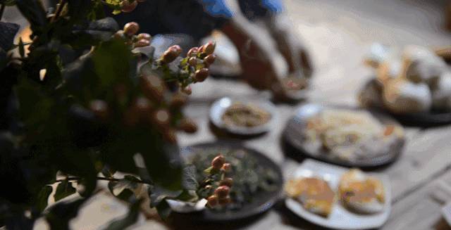 南屏喜舍民宿，從南方飛入徽州白墻灰瓦的歸燕