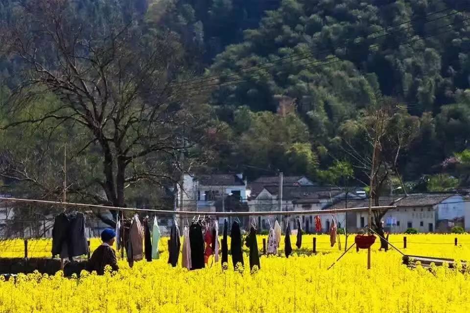 南屏喜舍民宿，從南方飛入徽州白墻灰瓦的歸燕