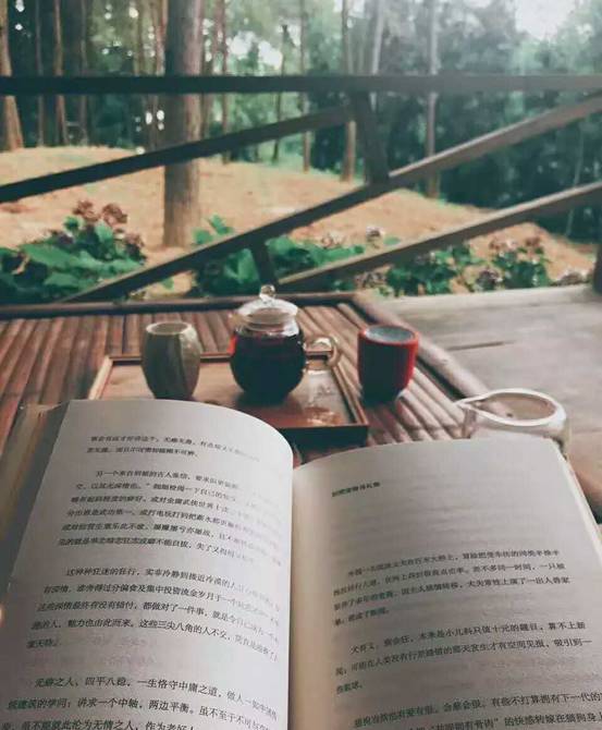 林中四舍民宿設(shè)計，一所鳥語花香的小木屋