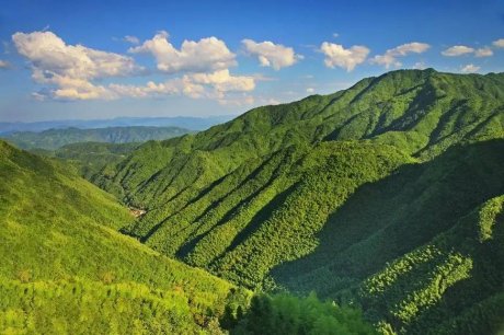 竹里云溪民宿設(shè)計，回歸田園