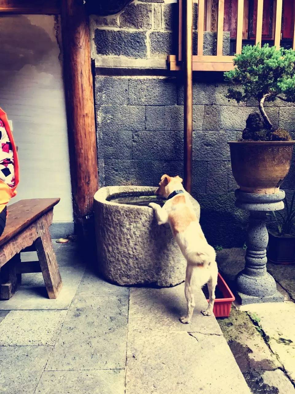 茶馬古道，民宿古宅設計改造