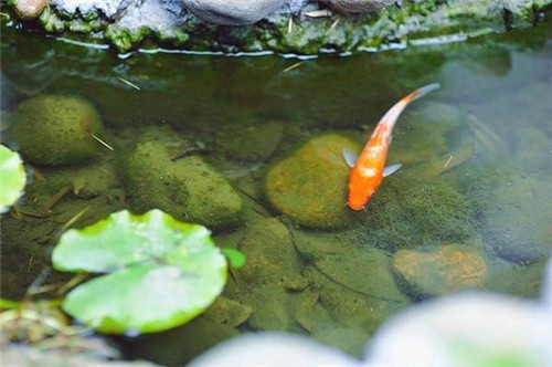 飛鳥集| 日式京都范兒の咖啡民宿