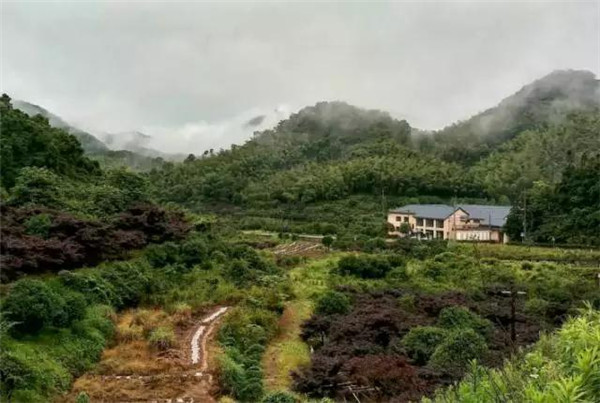 寧波風(fēng).谷民宿