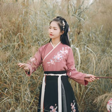 花團錦簇交領襦裙?jié)h服，褶裙團花刺繡漢服圖片