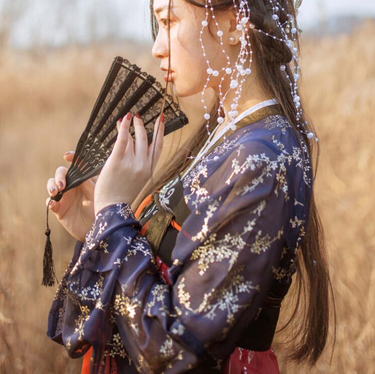 傳統(tǒng)齊胸襦裙，錦繡燙金刺繡漢服圖片