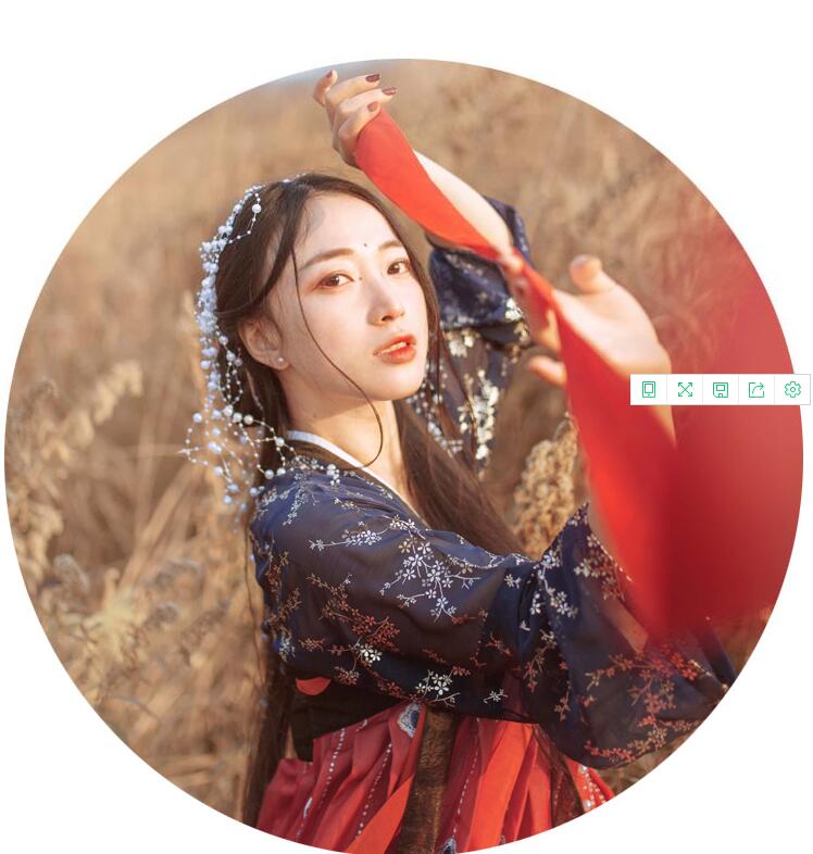 傳統(tǒng)齊胸襦裙，錦繡燙金刺繡漢服圖片