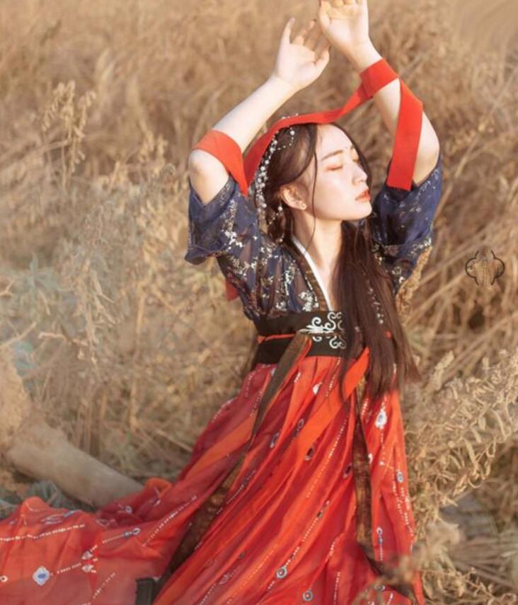傳統(tǒng)齊胸襦裙，錦繡燙金刺繡漢服圖片
