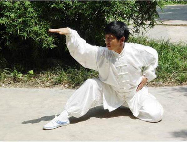 中華武術(shù)：蛇拳