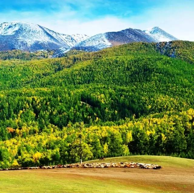 撥動心弦的人間美景：西北第一村·白哈巴