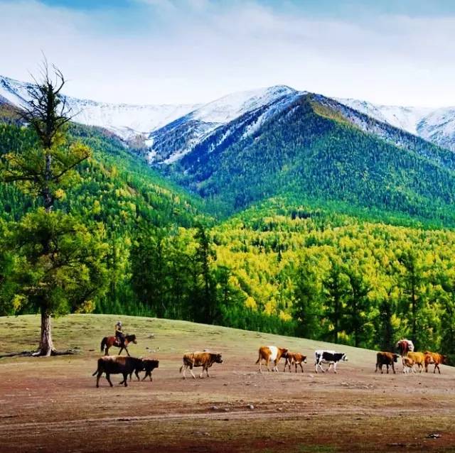 撥動心弦的人間美景：西北第一村·白哈巴