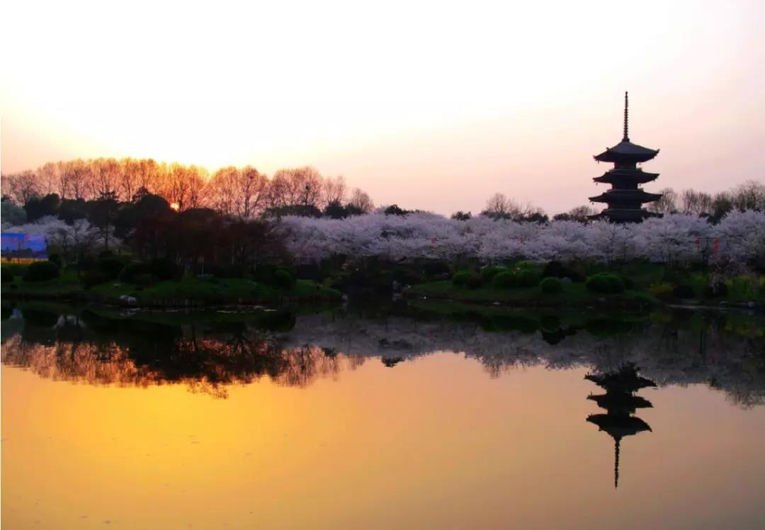 繞行東湖景區(qū)游玩攻略：武漢這么大多出去看看