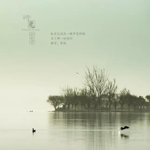 風(fēng)景攝影作品時光靜好：邛海景色！