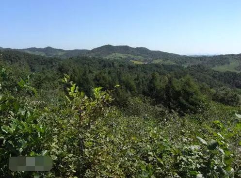 長白山余脈在昌圖，三省交界風景最美地