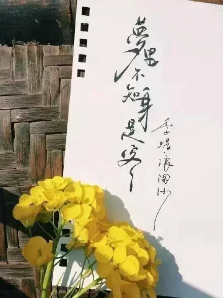 別致新穎的書(shū)法字體，美的很有意境！