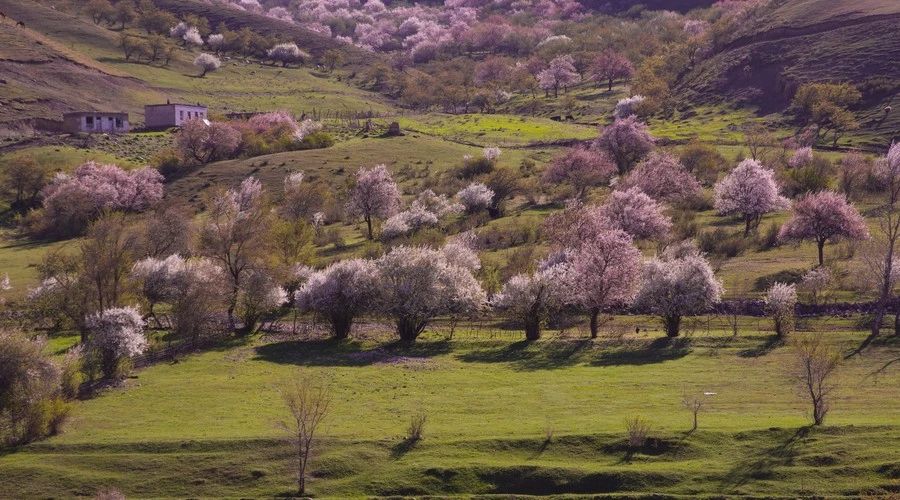 最美人間四月，詩情畫意不可錯(cuò)失的風(fēng)景推薦