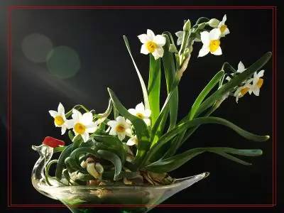 詩意風(fēng)景：一花一世界，一詩一情懷