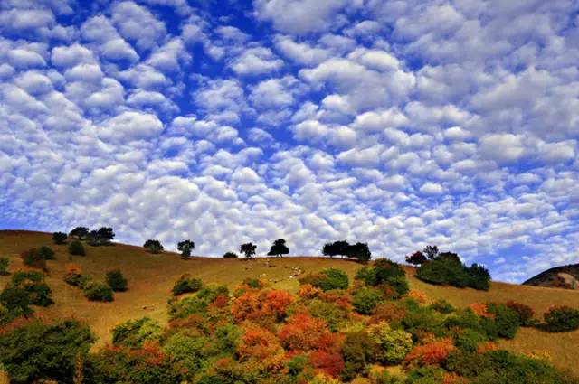 十處優(yōu)美的山水風(fēng)景，錦繡山河如詩(shī)如畫！