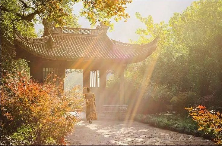 美呆了！祖國(guó)的秋色盡收眼底
