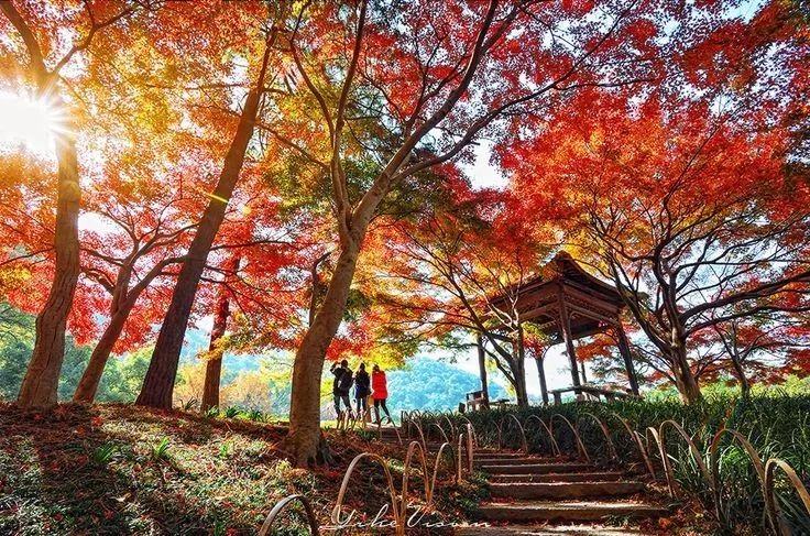 美呆了！祖國(guó)的秋色盡收眼底