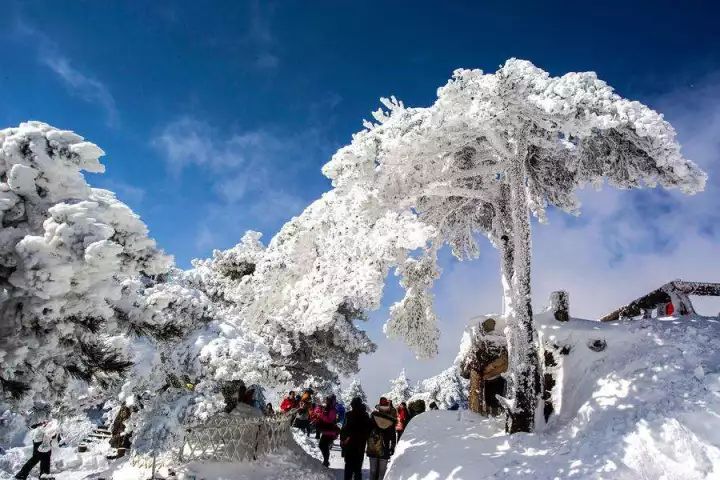 雪后黃山風(fēng)景宛如人間仙境，舞一曲雪中霓裳羽