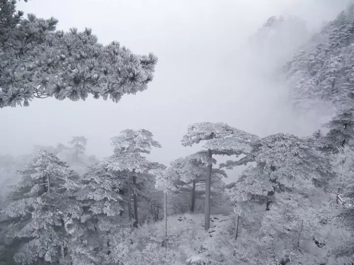 雪后黃山風(fēng)景宛如人間仙境，舞一曲雪中霓裳羽