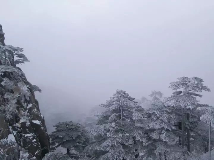 雪后黃山風(fēng)景宛如人間仙境，舞一曲雪中霓裳羽