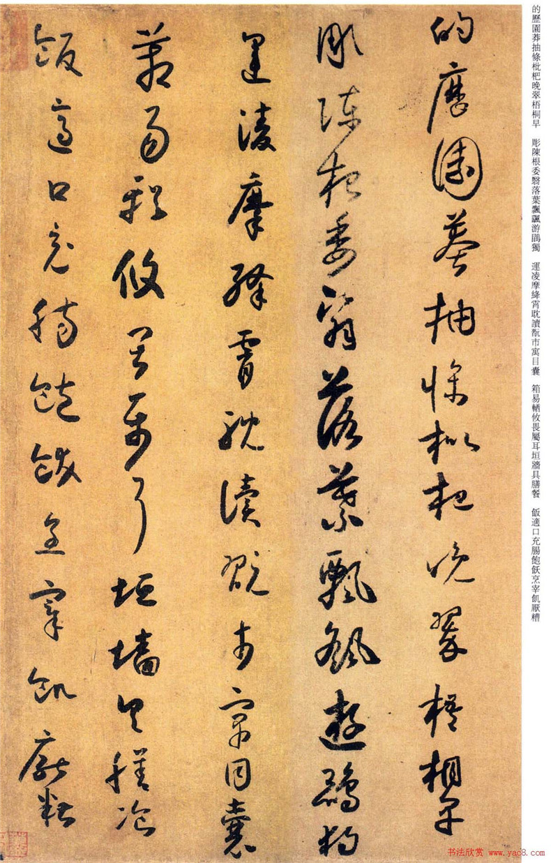 “草圣”懷素書法欣賞《小草千字文》